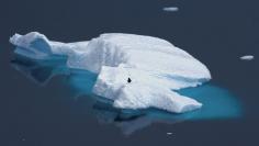 FILE PHOTO - A supplied image shows a penguin standing atop an iceberg in Antarctica